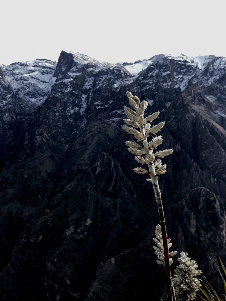 visit peru