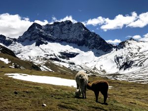 visit peru