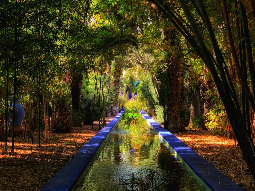 jardin majorelle